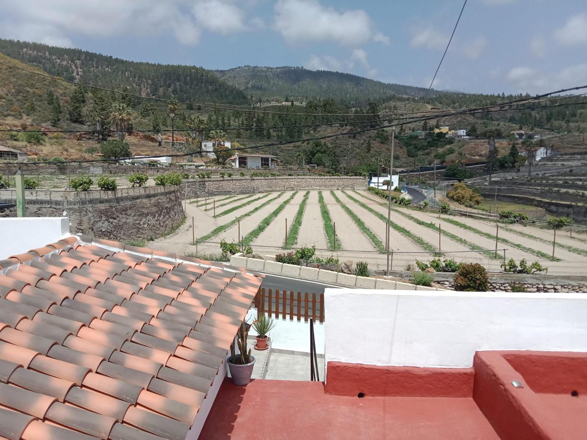 Casa El Escano Granadilla de Abona Kültér fotó